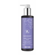 Maschera Purple 250ml - Blondway