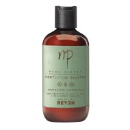 Np Pure Energy Fortifying Shampoo