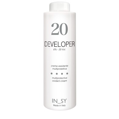 Developer - InSy