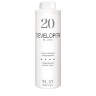 Developer - InSy