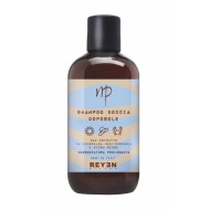 Solari Full Size 2026 - Naturalmente Perfetta