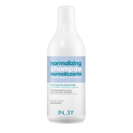 IN_SY  Normalizing Shampoo