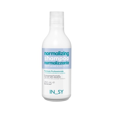 IN_SY  Normalizing Shampoo