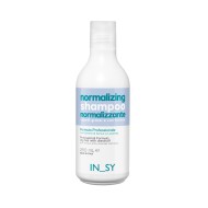 IN_SY  Normalizing Shampoo